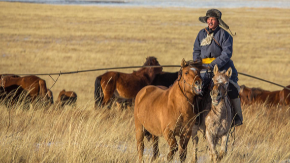 Монгол эрчүүдийн дундаж наслалт 67.9 байна